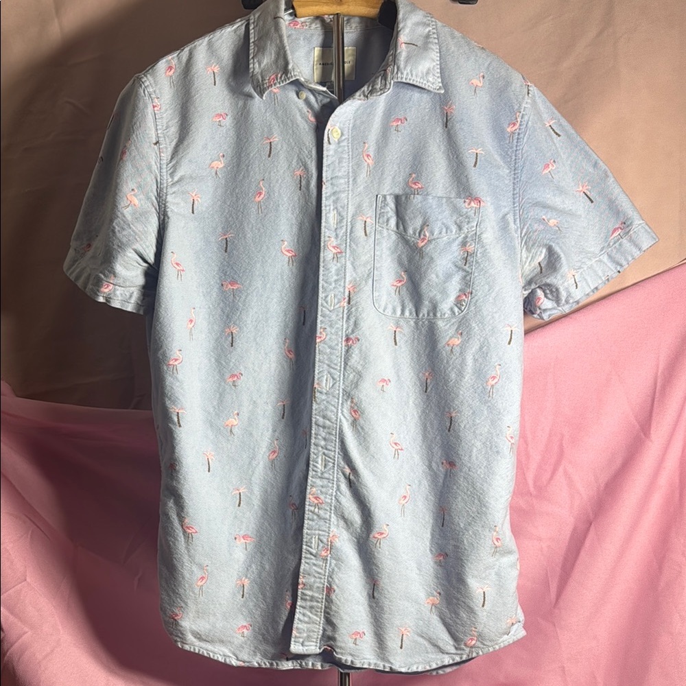 American Eagle Outfitters Blue and Pink Casual Button Down Shirt